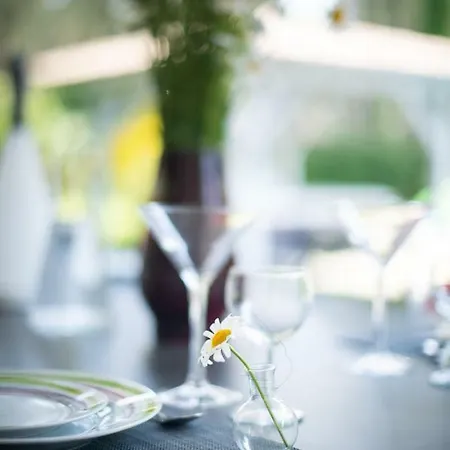 Вилла Villa Messanges *