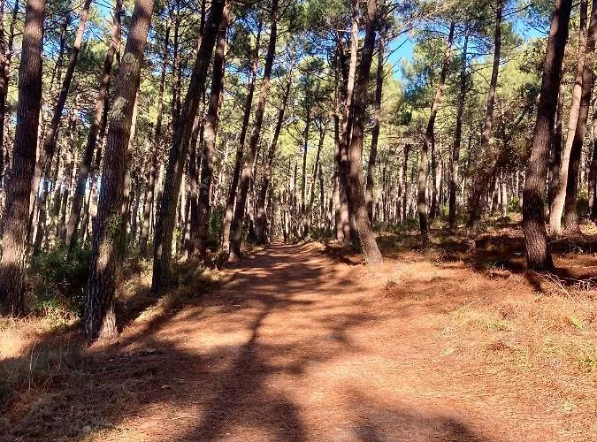 Villa Messanges * 梅桑热