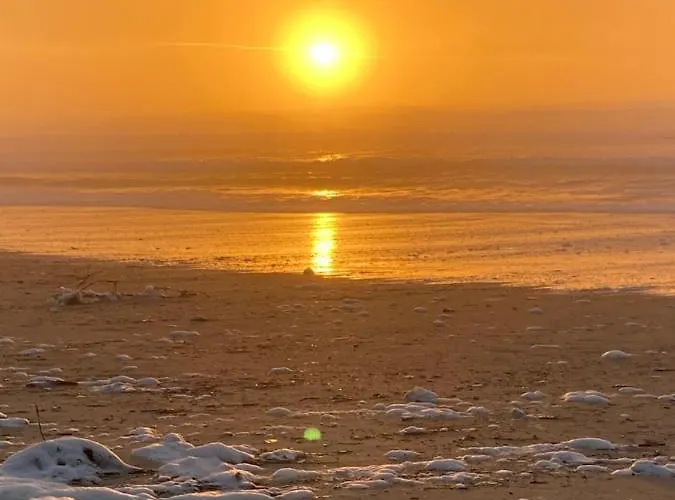 别墅 Villa Messanges *