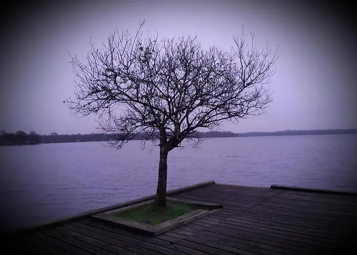 Villa Messanges 梅桑热