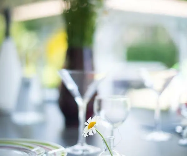 别墅 Villa Messanges *