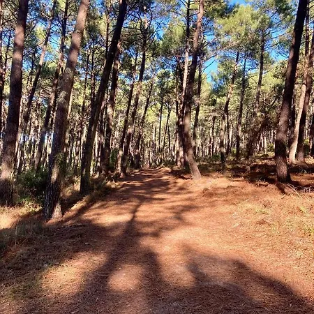 Villa Messanges * Messanges (Landes)