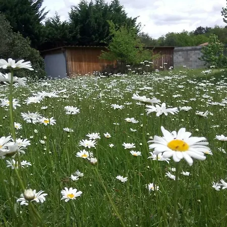 Villa Messanges * Messanges (Landes)