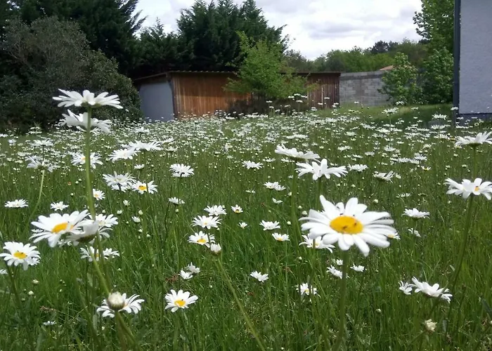 Villa Messanges * Messanges